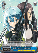 Winning Combination, Sinon & Kirito