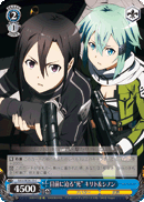 In the Face of "Death", Kirito & Sinon