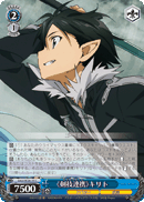 《Skill Connect》 Kirito