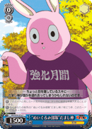 “ぬいぐるみ部隊”だまし神