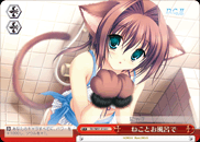 ねことお風呂で