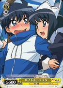 サイト&シエスタ