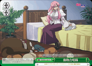 動物合唱隊