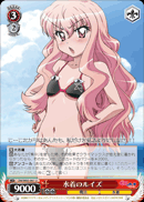 水着のルイズ