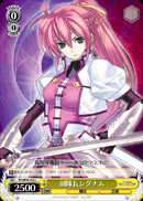 副隊長シグナム
Vice-Commander Signum