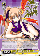 烈火の将シグナム
Commander of Raging Fire Signum