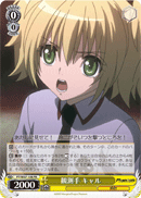 観測手 キャル