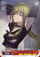 新たなファントム ドライ
T12