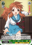 Clumsy Girl Mikuru
