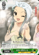 Hot Springs Tsuruya