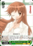 Mikuru From the Future