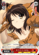Cat Ears, Haruhi