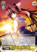 “正義の魔法使い”音姫
“Magician of Justice” Otome