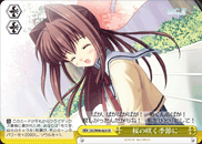 桜の咲く季節に
The Season When Cherry Blossom Blooms