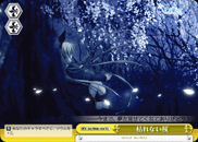 枯れない桜
Never Whithering Cherry Blossom Tree