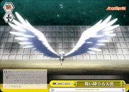 舞い降りる天使
Descending Angel