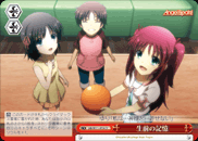 生前の記憶
Memories of One's Lifetime