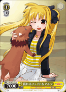 戯れるフェイト＆アルフ
Playtime Fate & Arf