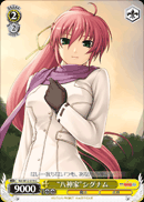 “八神家”シグナム
“Yagami Family” Signum