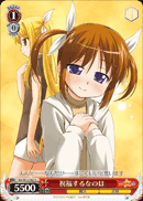 祝福するなのは
Blessing Nanoha