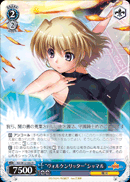 “ヴォルケンリッター”シャマル
Wolkenritter Shamal