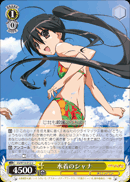 水着のシャナ
Swimsuit Shana
