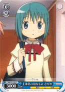 Childhood Friend of Kamijo, Sayaka