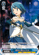 Fighting Against Fate, Sayaka