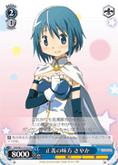 Ally of Justice, Sayaka