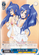 Changing, Tsubasa