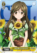 向日葵とひまわり