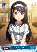 私服のあおい