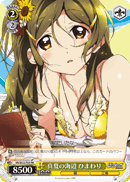 真夏の海辺 ひまわり