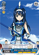 初めての戦い あおい
