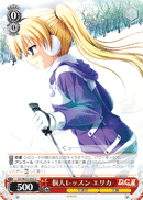 個人レッスン エリカ