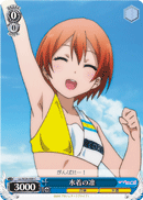 Swimsuit Rin