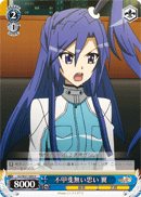 Feelings not Wasted, Tsubasa