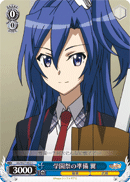 Preparation for the School Festival, Tsubasa
