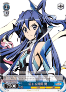 Trustworthy Ally, Tsubasa