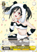 "Nico Is Popular" Nico