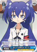 淋しげな微笑み せいら