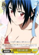 Swimsuit Seishiro