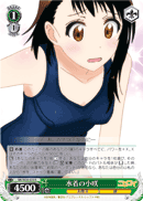 Swimsuit Kosaki