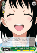 Brilliant Smile, Kosaki
