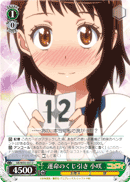 Fateful Lottery, Kosaki