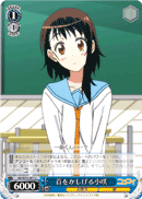 Head Tilt Kosaki
