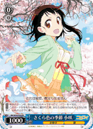 Cherry Blossom Colored Season, Kosaki
