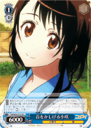 Head Tilt Kosaki