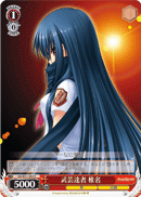Skilled Martial Artist, Shiina