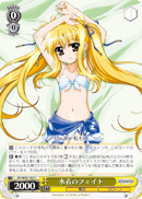 水着のフェイト